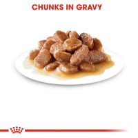 Royal Canin Chunks in Gravy Cat Food Pouch