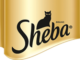 Sheba