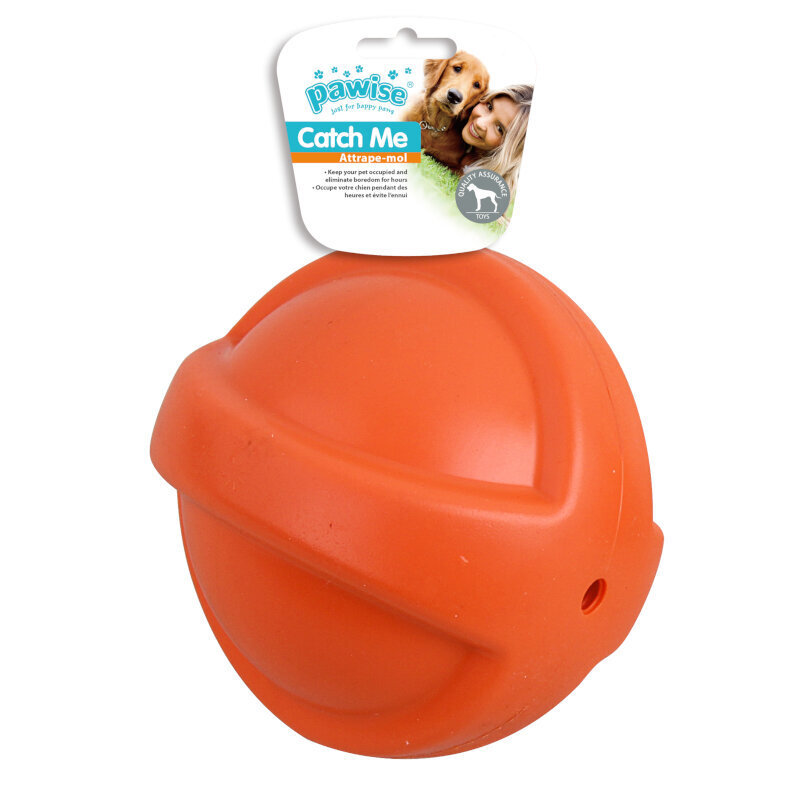 Buy Pawise Catch Me Squeaky Ball Dog Toy Online at Low Price in India Puprise