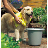 Pawise Dog Towel