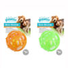 Pawise Dura Bouncer Hollow Ball Dog Toy