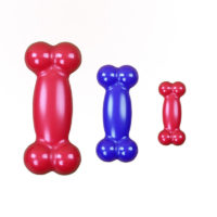 Pawise Funny Bone Dog Toy-1