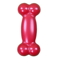 Pawise Funny Bone Dog Toy