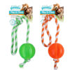 Pawise Play & Chew Ball Dog Toy