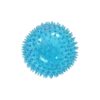 Pawise Spiky Ball Dog Toy
