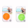 Pawise Squeaky Ball Dog Toy