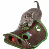 Pawsie Mouse Hunt Interactive Cat Toy 2
