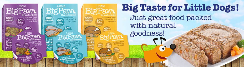 big paw dog food