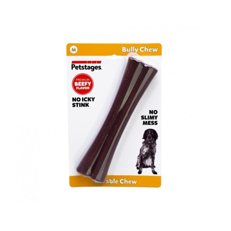 Buy Petstages Bully Bone Beef Flavour Dog Chew Toy Online at Low Price