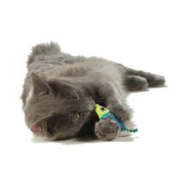 Petstages Catnip Chew Mice Plush Cat Toy