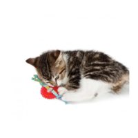 Petstages Kitty Chew Wheel Plush Cat Toy