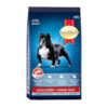 SmartHeart Adult Medium & Large Breed Power Pack Dry Dog Food