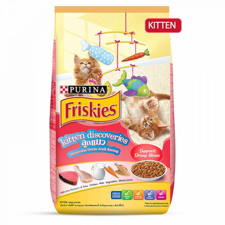 Buy Best Dry Cat Food Online in India Shop Cat Kibbles Puprise