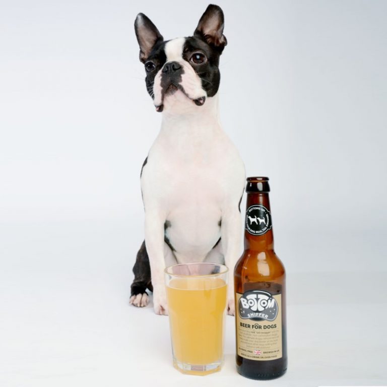 Buy Woof&Brew Bottom Sniffer Dog Beer, 300ml Online at Low Price in