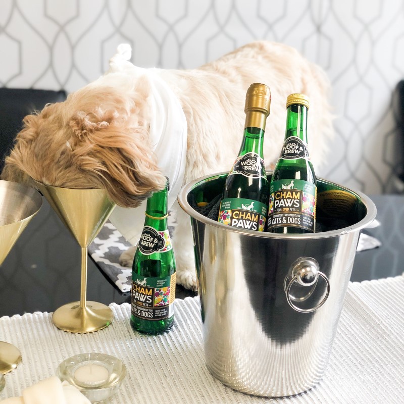 Buy Woof&Brew Cham:Paws Champagne for Cats & Dogs, 200ml Online at Low Price in India | Puprise