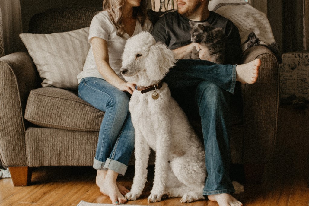 Puprise Post - Best Pets Blog India