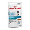 Royal Canin Urban Life Adult Wet Dog Food Pouch