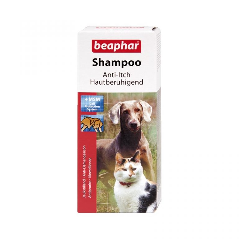 Buy Beaphar AntiItch Shampoo for Dogs & Cats, 200ml Online at Low