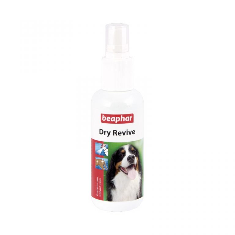 Buy Beaphar Dry Revive Spray For Dogs, 150ml Online at Low Price in