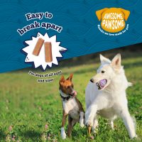 Awesome Pawsome Salmon Supreme Natural Dog Treat