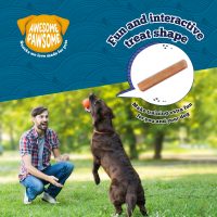 Awesome Pawsome Salmon Supreme Natural Dog Treat